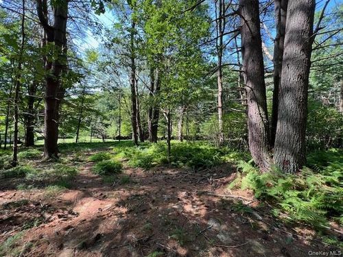 Lot 47.3 High Rd, Glen Spey, NY, 12737 | Card Image