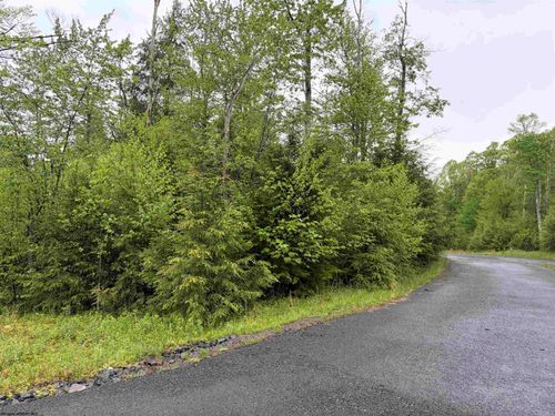 Lot 77 Bassilla Way, Davis, WV, 26260 | Card Image