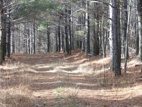 340 Randell Harris Road, Evensville, TN, 37332 | Card Image