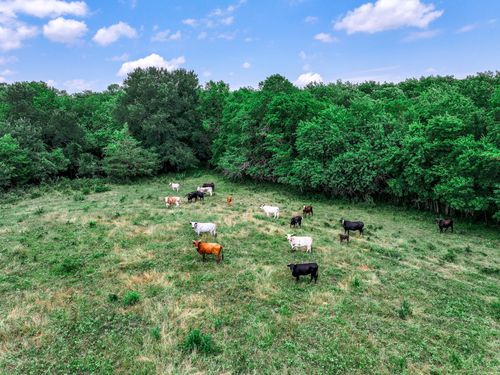 66 County Road 2190, Commerce, TX, 75428 | Card Image