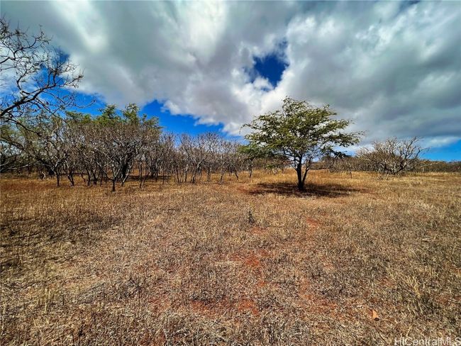 LOT-38 - 000 Kalua Koi Rd, Home with 0 bedrooms, 0 bathrooms and null parking in Maunaloa HI | Image 7