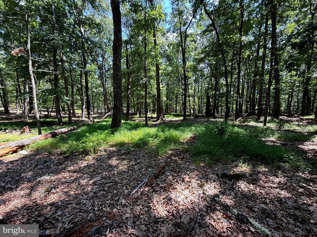 Land in UPPER TRACT 4