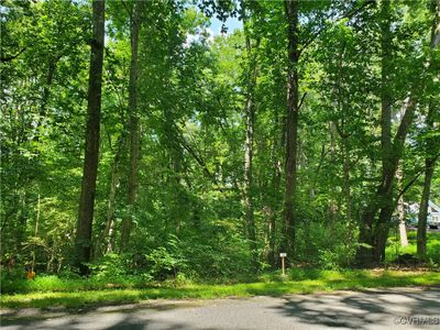 Beautiful mature hardwoods adorn the lot. | Image 3