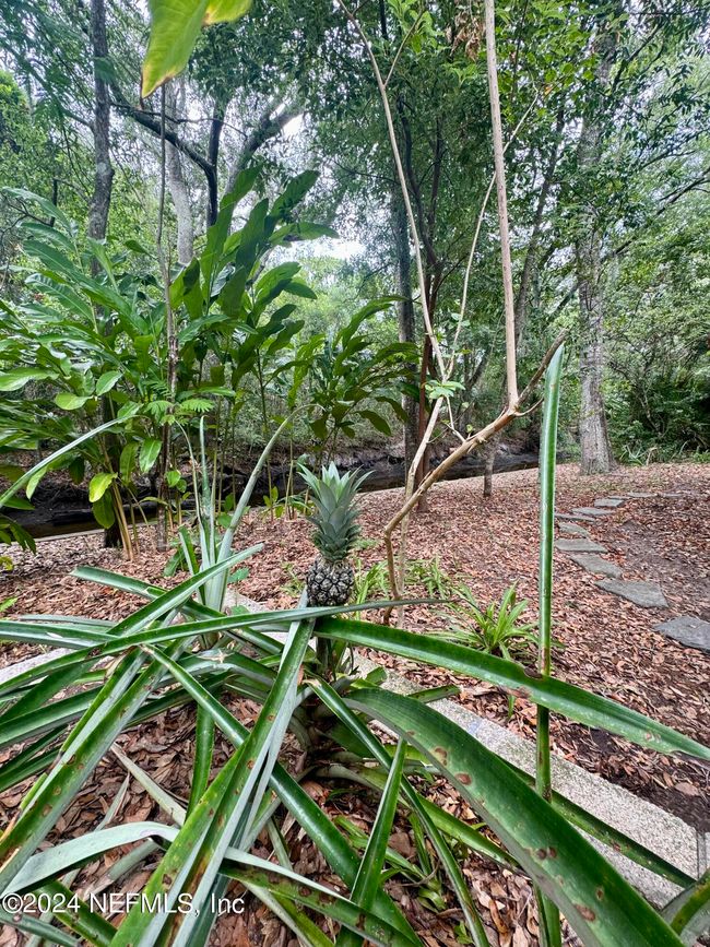 1817 Hopkins Creek Ln, House other with 3 bedrooms, 2 bathrooms and null parking in Neptune Beach FL | Image 35