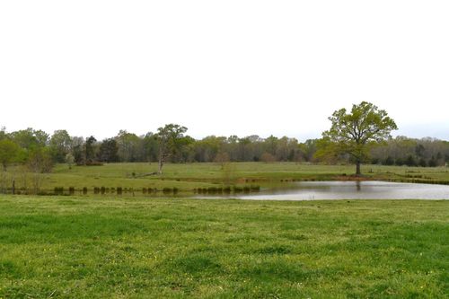 TBD County Road 121, Carthage, TX, 75633 | Card Image