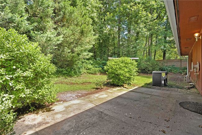 Backyard | Image 19