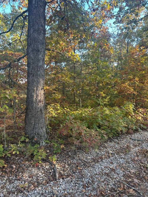 TBD County Road 146, Henderson, AR, 72544 | Card Image