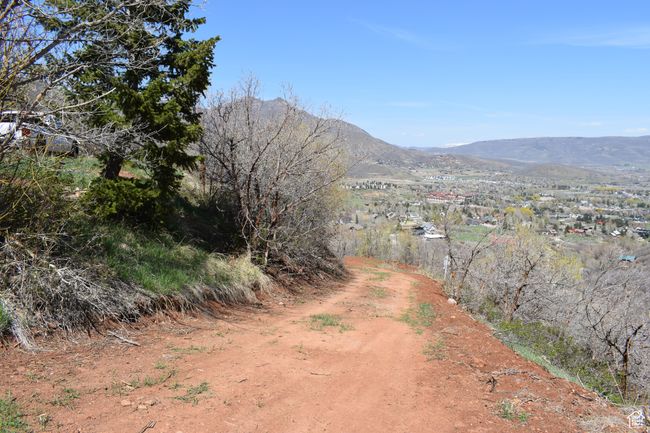 Driveway to the building pad. | Image 7