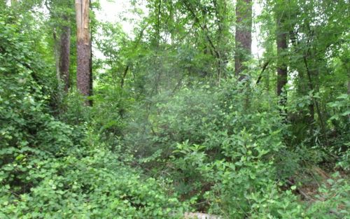 LOT18 Sw 76th Dr, Jasper, FL, 32052 | Card Image
