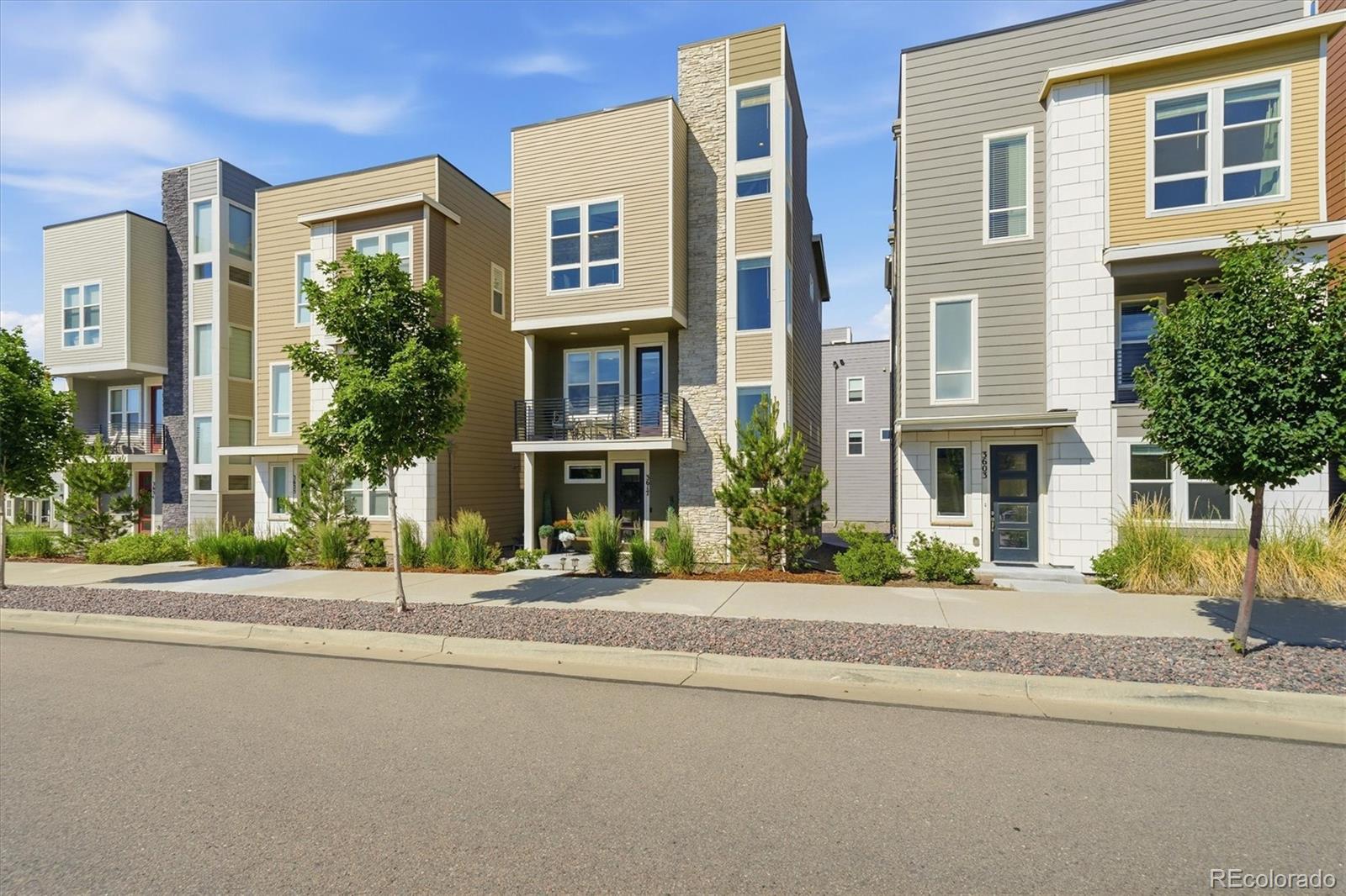 Residential in Castle Rock 4