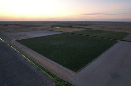 TBD-3 Mile 3 East Rd, La Feria, TX, 78570 | Card Image