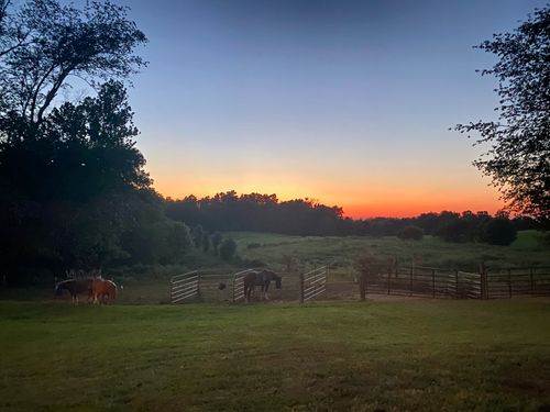 6180 Crawford Store Rd, Springfield, TN, 37172-8313 | Card Image