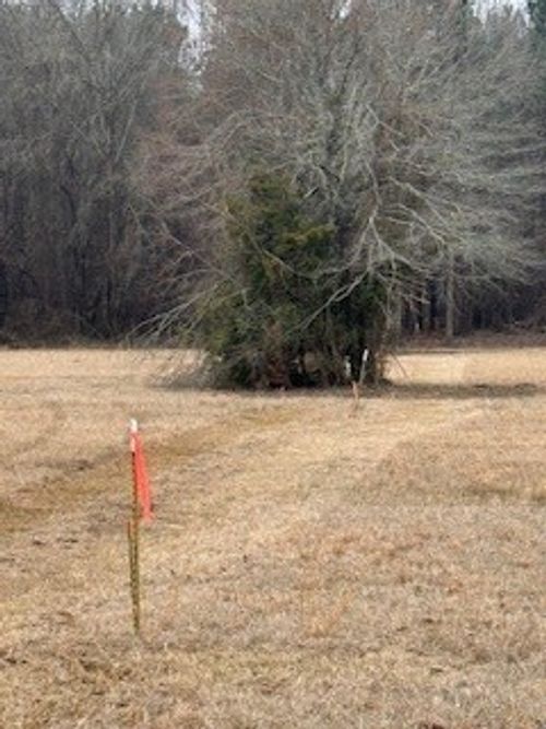 lot-1-0 Bellevue Rd, Haughton, LA, 71037 | Card Image
