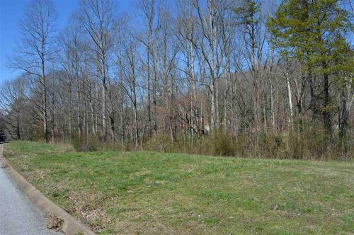 Lots 1 & 2 County Road 321, Niota, TN, 37826 | Card Image