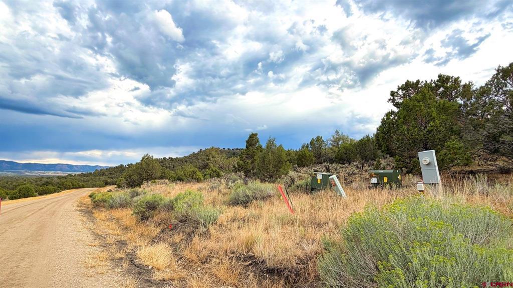 Land in Mancos 5