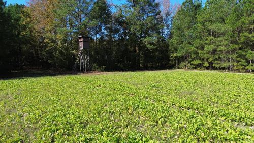 0 U.S. 521, Salters, SC, 29590 | Card Image
