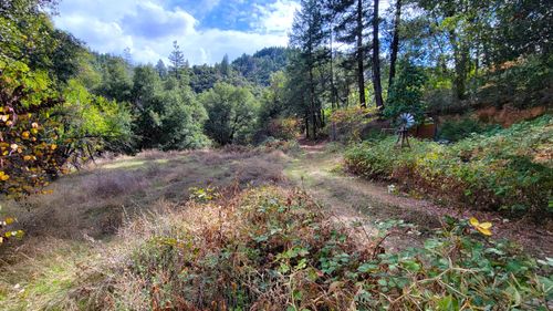 000 Hwy 299 E, Bella Vista, CA, 96008 | Card Image