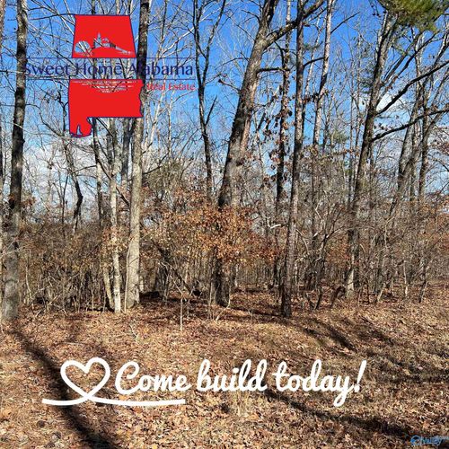 Lot 17 County Road 620 Sw, Cedar Bluff, AL, 35959 | Card Image
