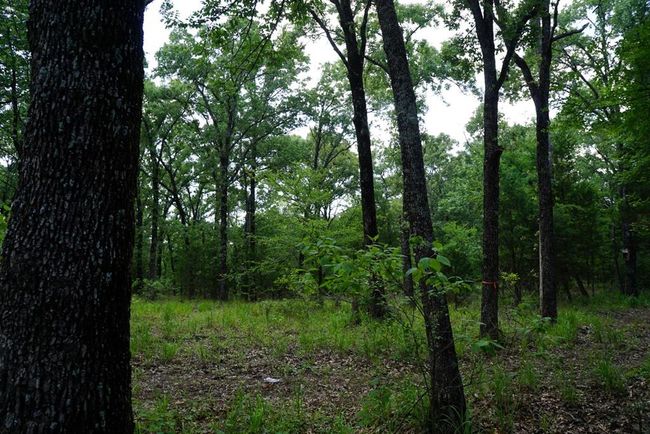 01 Private Rd 5401, Home with 0 bedrooms, 0 bathrooms and null parking in Malakoff TX | Image 26