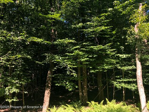 H-1128 Creekview Dr E, Gouldsboro, PA, 18424 | Card Image