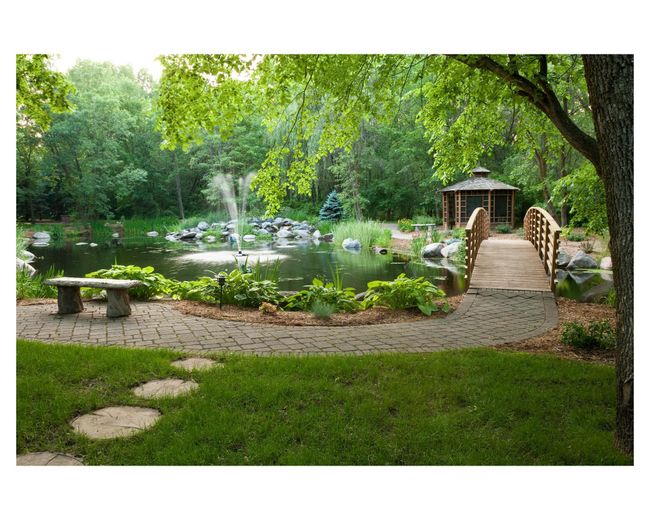 Frog Pond | Image 122