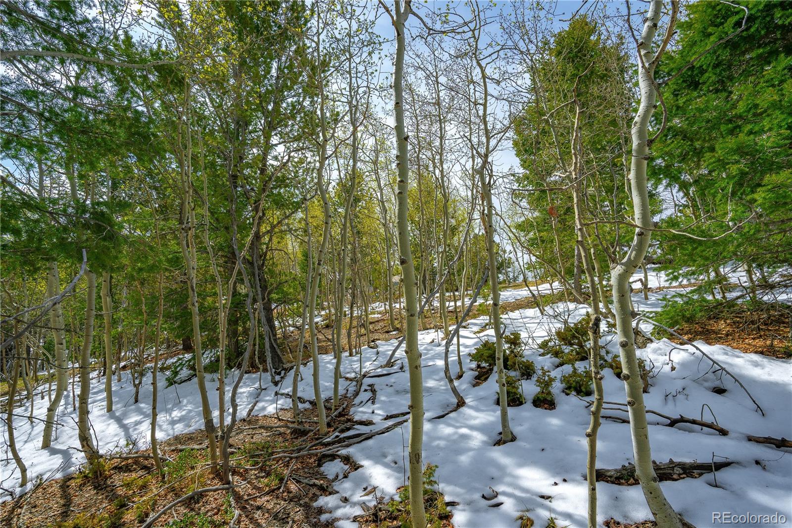 Land in Cripple Creek 3