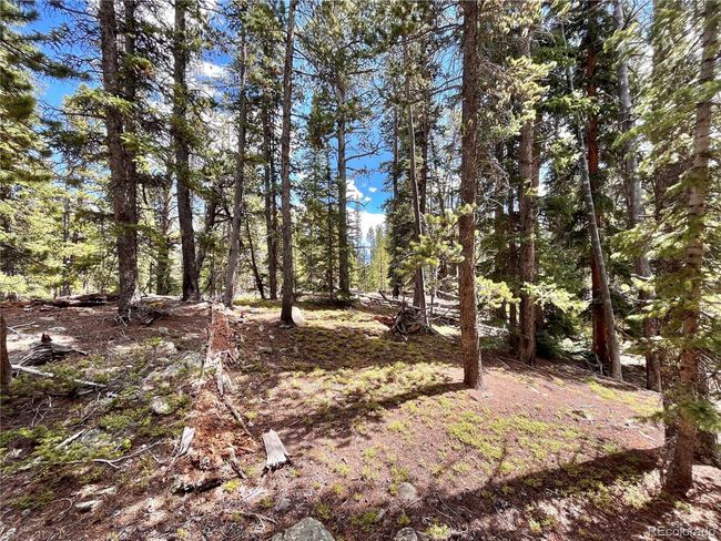 676 Dry Gulch Rd, Home with 0 bedrooms, 0 bathrooms and null parking in Fairplay CO | Image 22