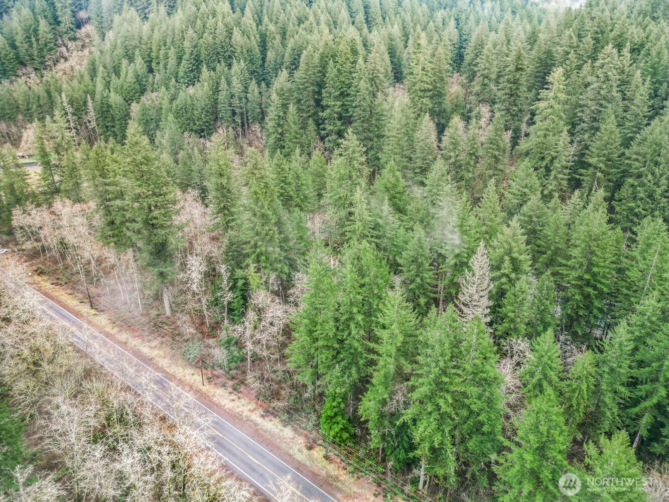 Land in Washougal 5