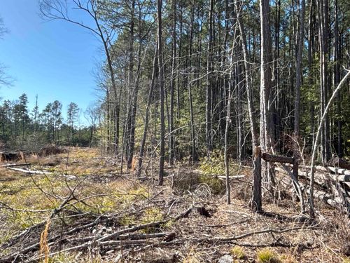 1 West Dallas County Line 20, Sparkman, AR, 71763 | Card Image