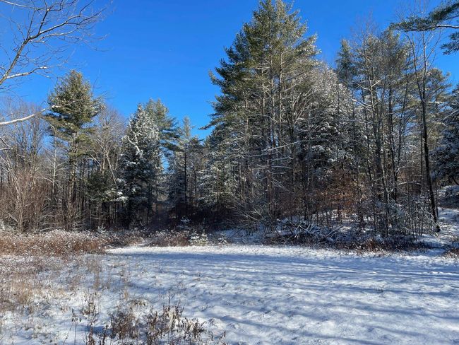 LOT-3 - 00 Vt Route 103 N, Home with 0 bedrooms, 0 bathrooms and null parking in Chester VT | Image 3