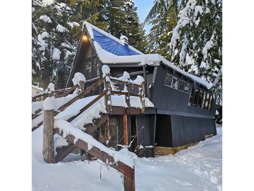 31060 E Bergstrasse Rd, Government Camp, OR, 97028-0029 | Card Image