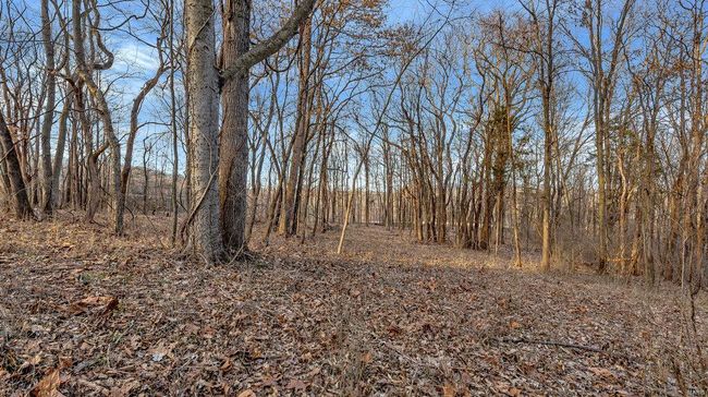 0 Highway M, Home with 0 bedrooms, 0 bathrooms and null parking in Villa Ridge MO | Image 17