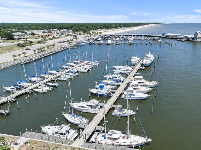 Harbor/Marina | Image 14