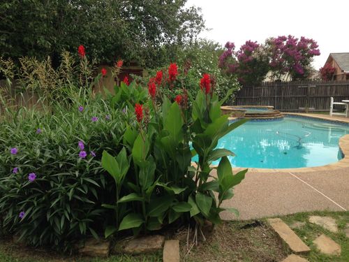 6901 Red Fox, Fort Worth, TX, 76092 | Card Image