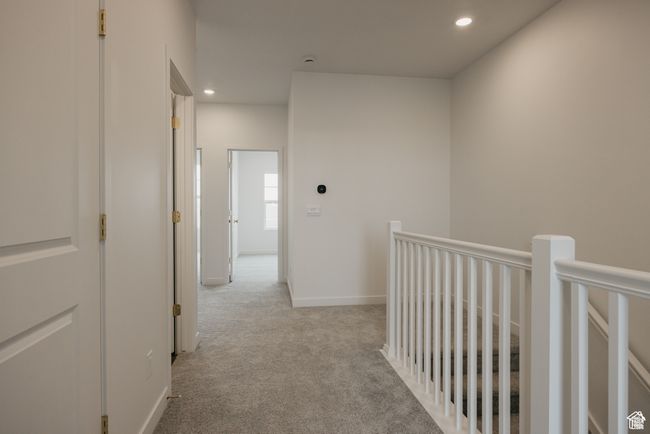 PICTURE OF MODEL | Image 15