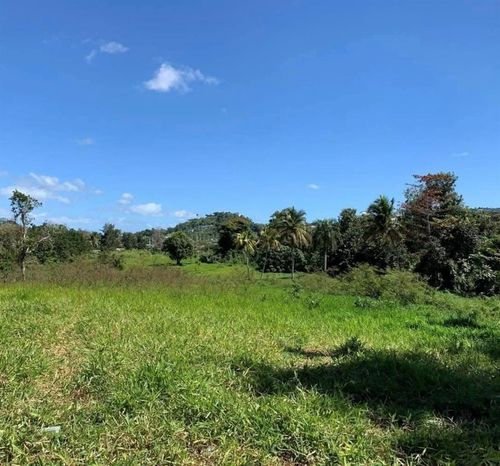 PR 6684 BUENA VISTA Km Hm 2.5, MOROVIS, PR, 00687 | Card Image