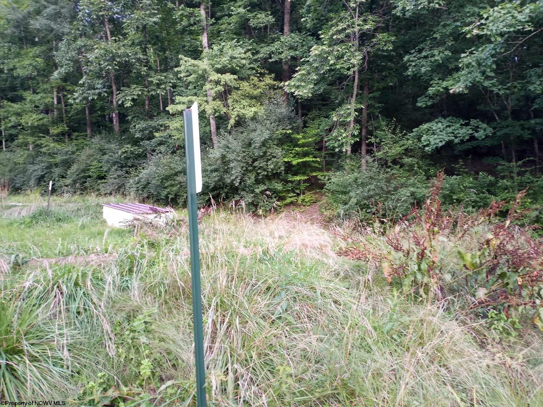Mare Run Rd, Weston, WV 26452
