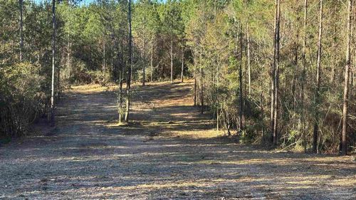 lot 71 Straw Bridge Rd, Allentown, FL, 32565 | Card Image