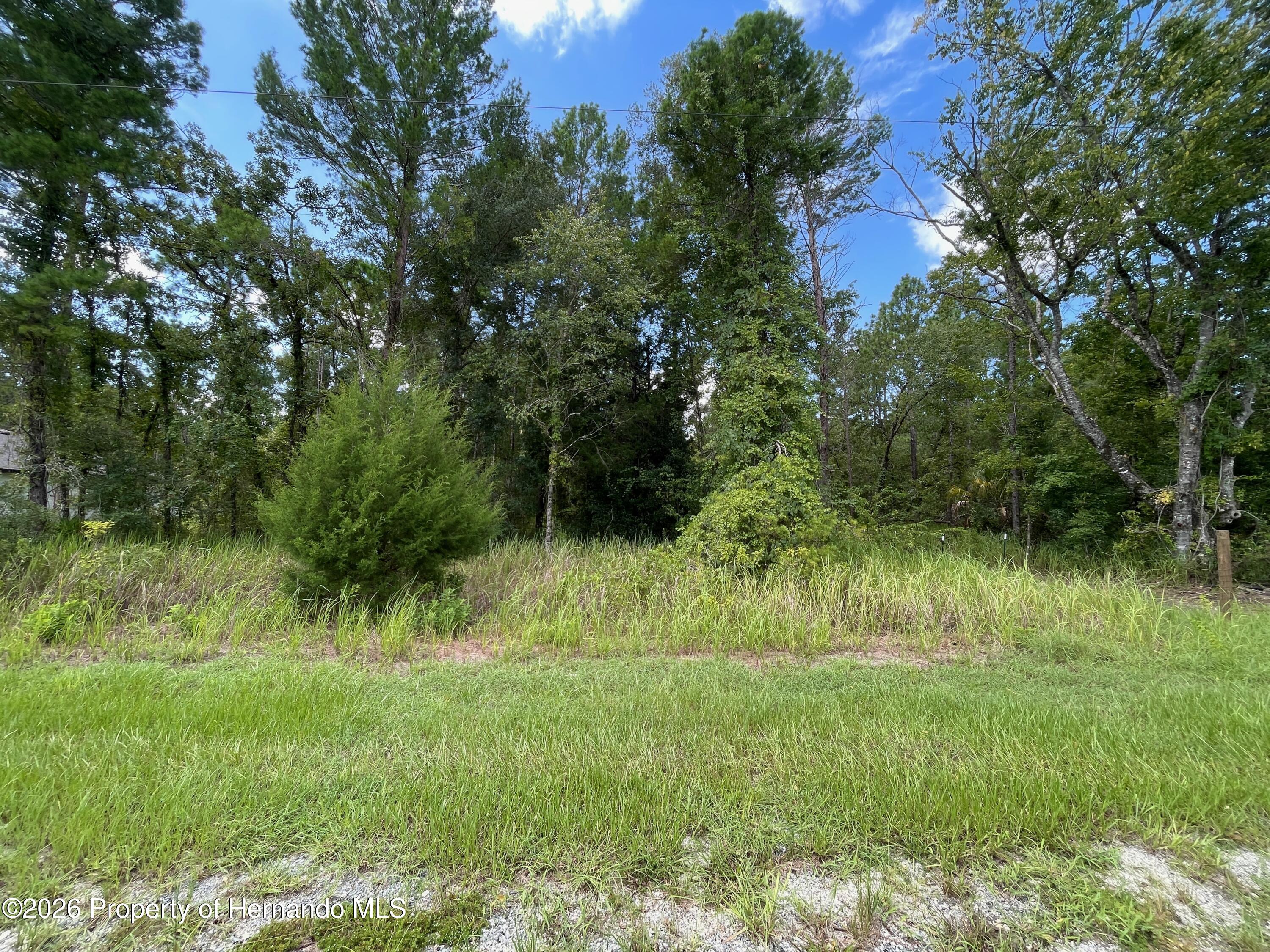 Land in Weeki Wachee