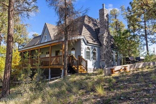 12 Copper Mountain Cir, Alpine, AZ, 85920 | Card Image