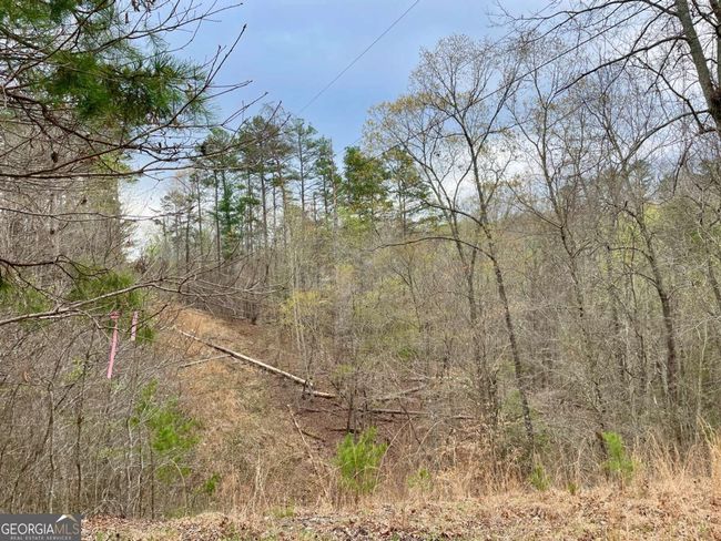 0 Mountain Ridge Dr, Home with 0 bedrooms, 0 bathrooms and null parking in Dahlonega GA | Image 13