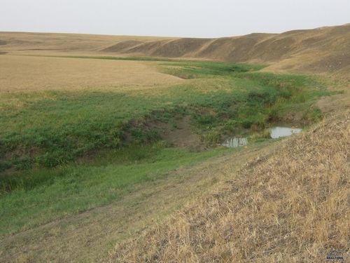 17763 Twilight Rd, Newell, SD, 57760 | Card Image