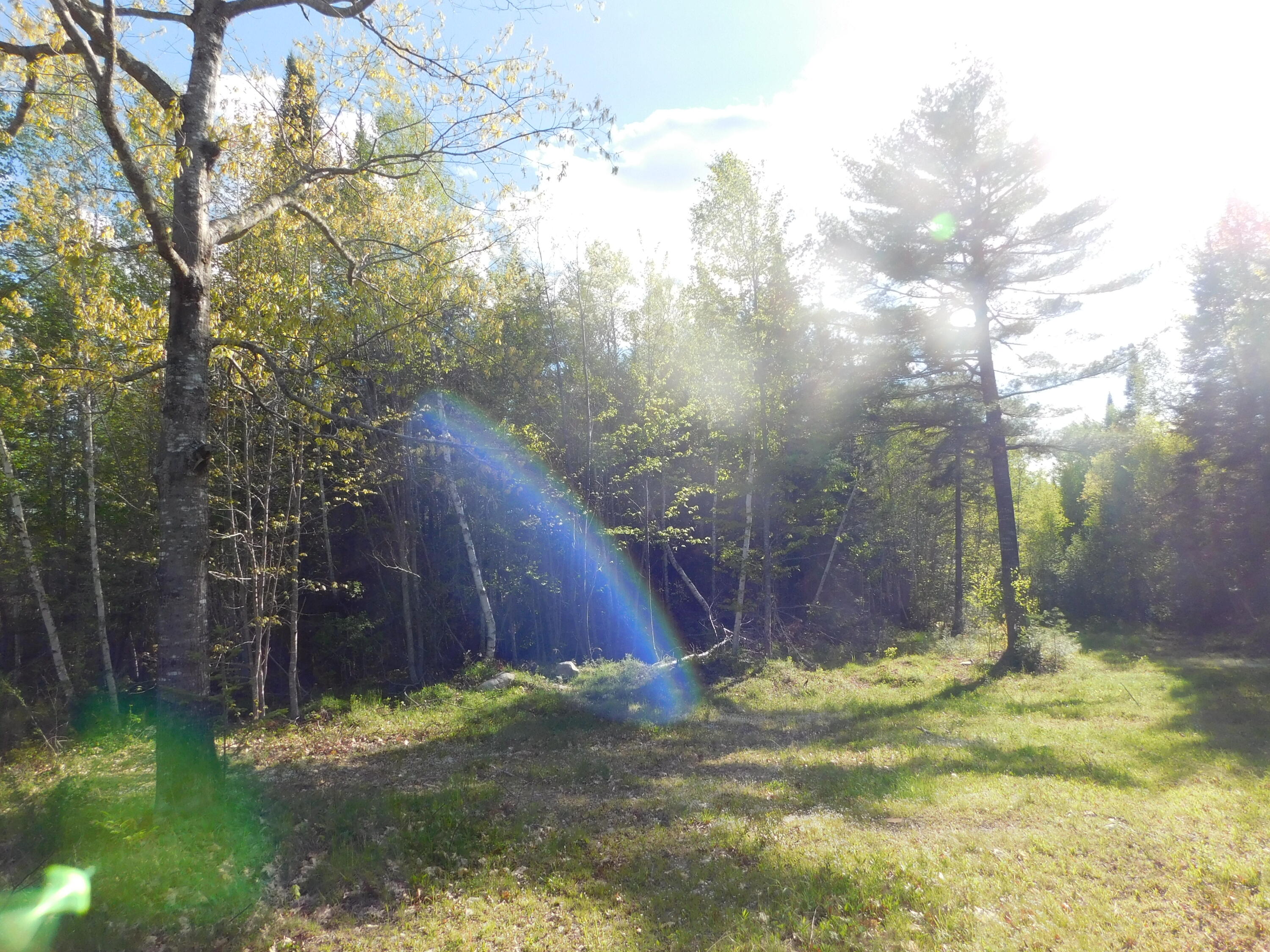 Land in Lowell 4