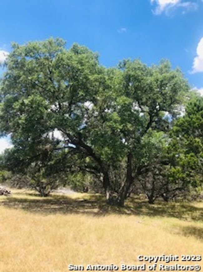 26 Mustang Crossing Dr, Home with 0 bedrooms, 0 bathrooms and null parking in Pipe Creek TX | Image 21