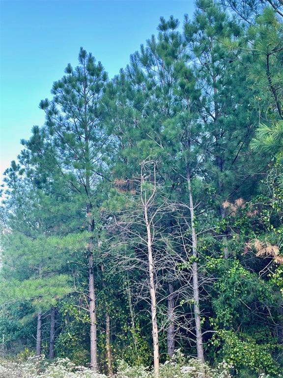 Land in Broken Bow 2