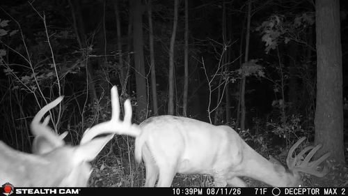 0 Beaver Ave, Hancock, WI, 54943 | Card Image
