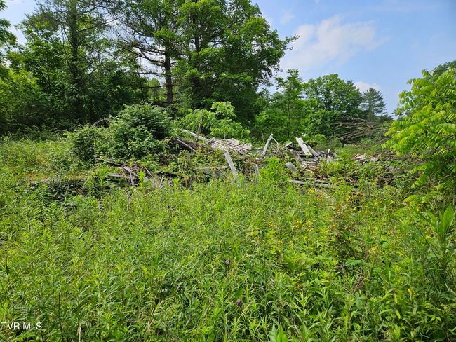 6770 State Route 606, Home with 0 bedrooms, 0 bathrooms and null parking in Keokee VA | Image 4