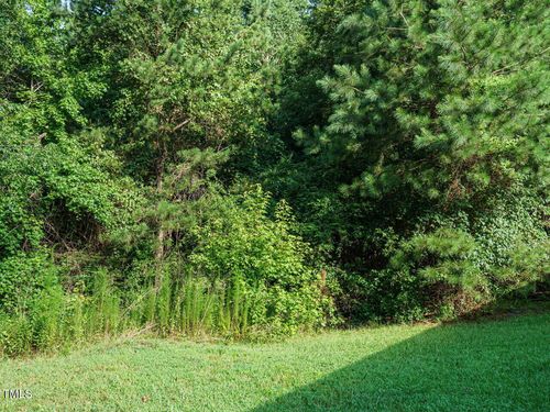 TBD Saint Luke Church Rd, Goldston, NC, 27252 | Card Image