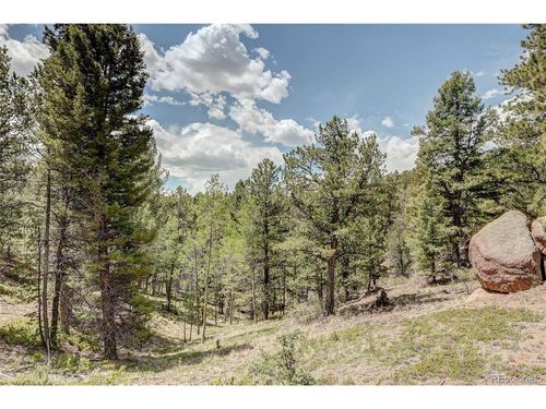 59 Robin Pt, Divide, CO, 80814 | Card Image