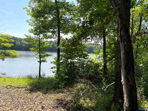 62+/- Acres County Road 628, Cedar Bluff, AL, 35959 | Card Image